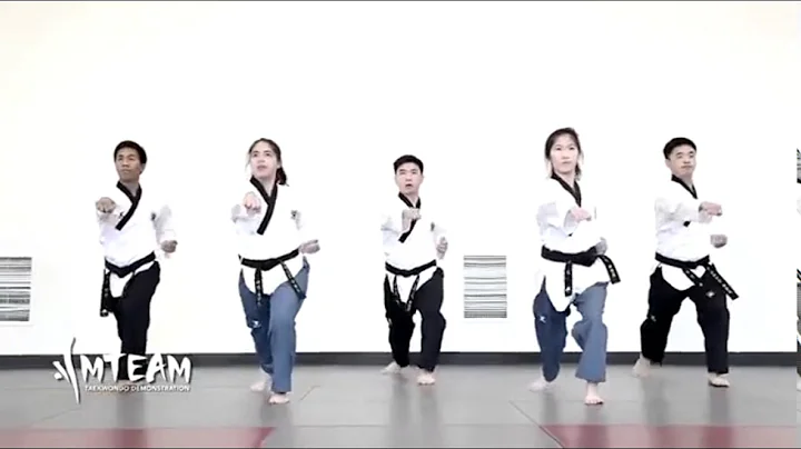 Insane Taekwondo Skills 2016