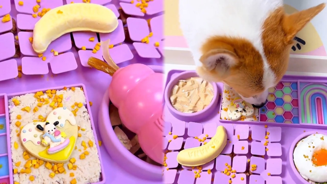 哇！麻麻我的狗碗里掉彩虹了耶！ #萌宠出道计划 #狗狗配餐 #狗狗吃饭 #asmr