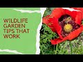 Easy wildlife garden tips - they&#39;ll really make a difference