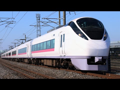 JRE657系K3編成 2003M 特急ひたち3号 仙台行き JR常磐線 水戸～勝田 区間