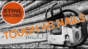 STIHL MS250 LITTLE SAW BIG NERVES