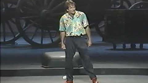 Robin Williams   An Evening At The Met