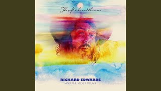 Video thumbnail of "Richard Edwards - Monkey"