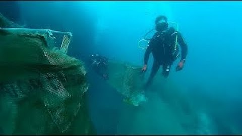 Plastic Free Santorini | Lidl Hellas for SUPFreeGreece (Web Video)