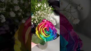 Happy Pride Month 🌈 #asmr #asmrsounds  #aesthetic #pride #roses #relaxing #asmrvideo #satisfying