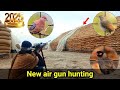Bird Hunting With Air Rifle Dove Hunting Air Gun Hunting Gamo Shadow 1000 2025 Bird Hunting With Air Rifle Dove Hunting Air Gun Hunting Gamo Shadow 1000 2025