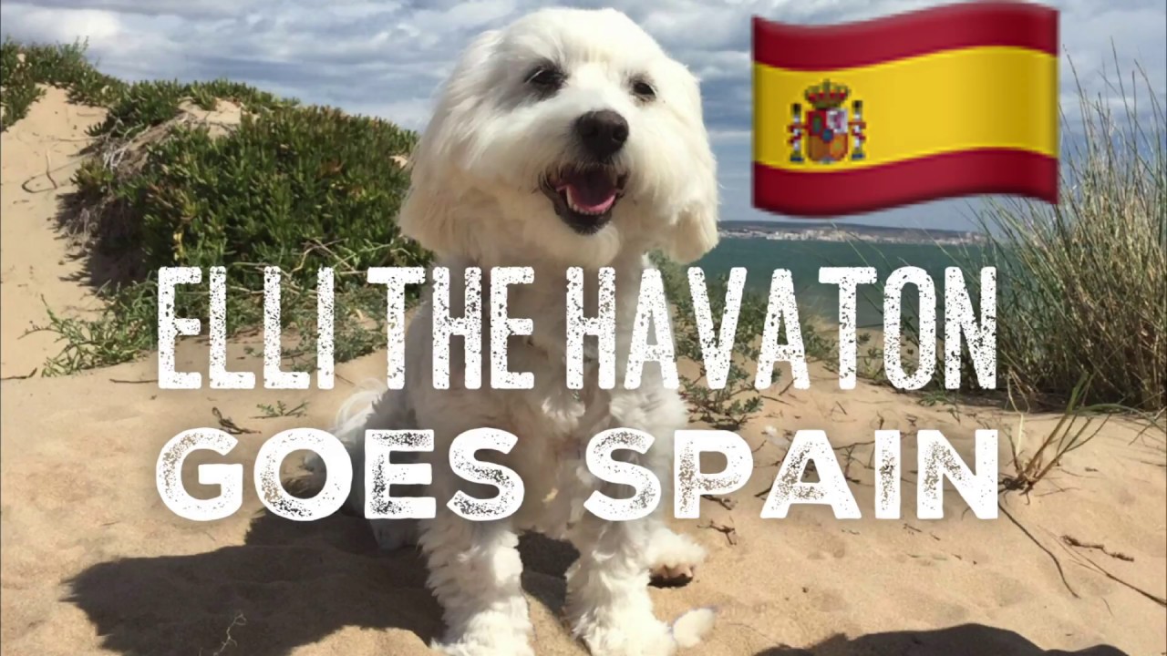 Elli The Havaton Goes Spain