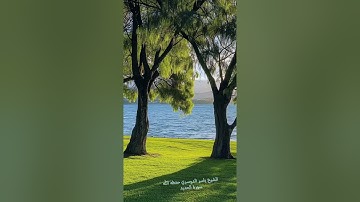 الشيخ ياسر الدوسري حفظه الله سورة الحديد