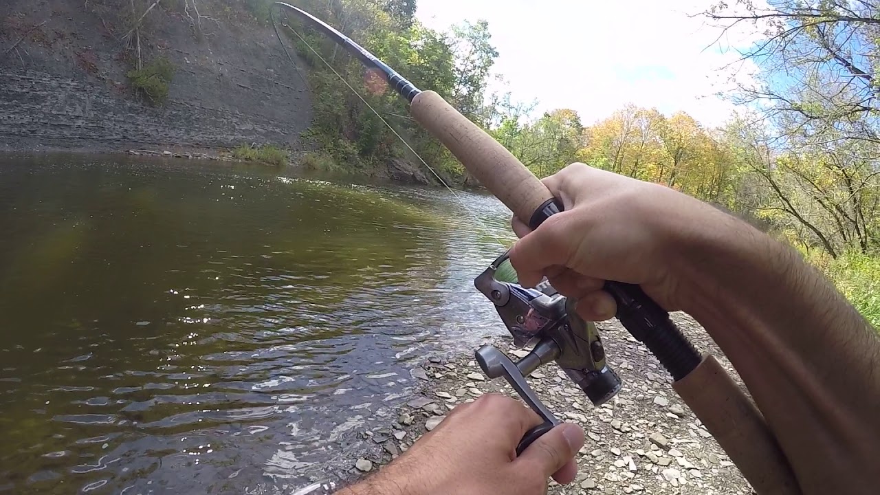 Salmon fishing Credit River 2017 - YouTube