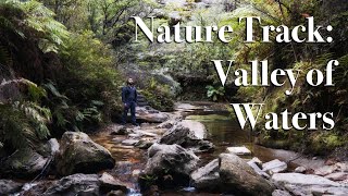 Blue Mountains National Park - Valley of Waters - Nature Track - Shot on the Panasonic Lumix S5
