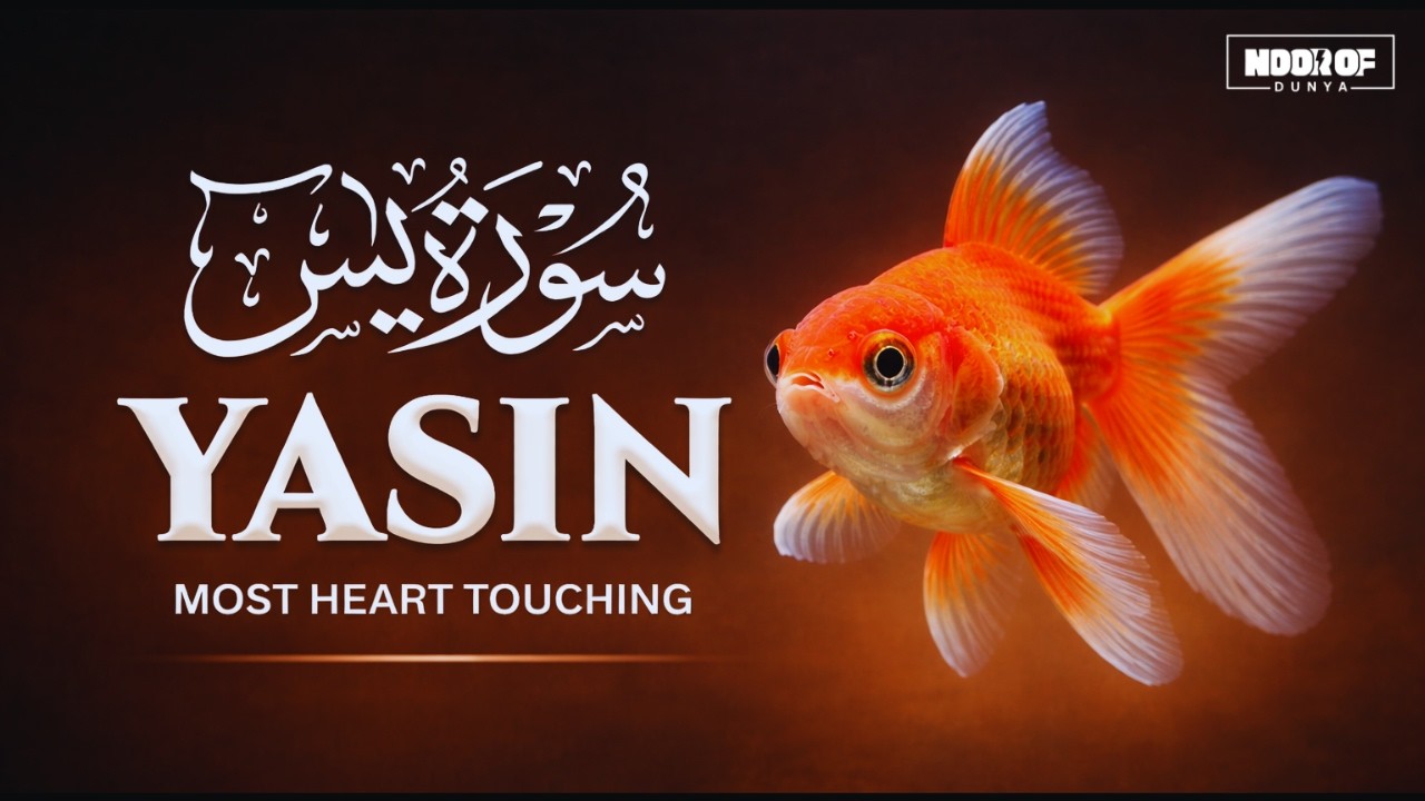 Surah Yaseen (Yasin) سورة يس | Beautiful & Heart-Touching Quran Recitation | Ramadan Special