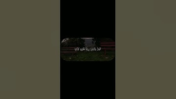 #طمأنينة_لقلبك #ذكر_اللّه #القرآن_الكريم #quran #islam @qu.is.1 #راحة_نفسية #تلاوة_خاشعة #اكسبلور