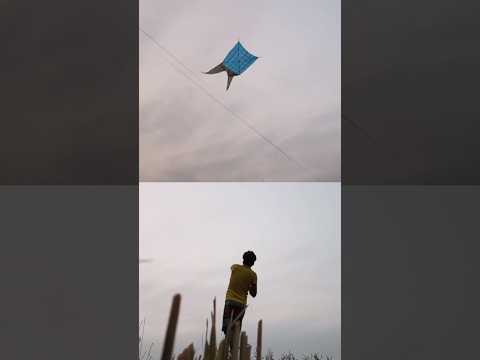 দানব কয়রা ঘুড়ি নামানো 😱👿 #kite #chongkite