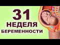 Что происходит с ребенком и мамой на 31 неделе беременности? 7 месяц беременности. Третий триместр.