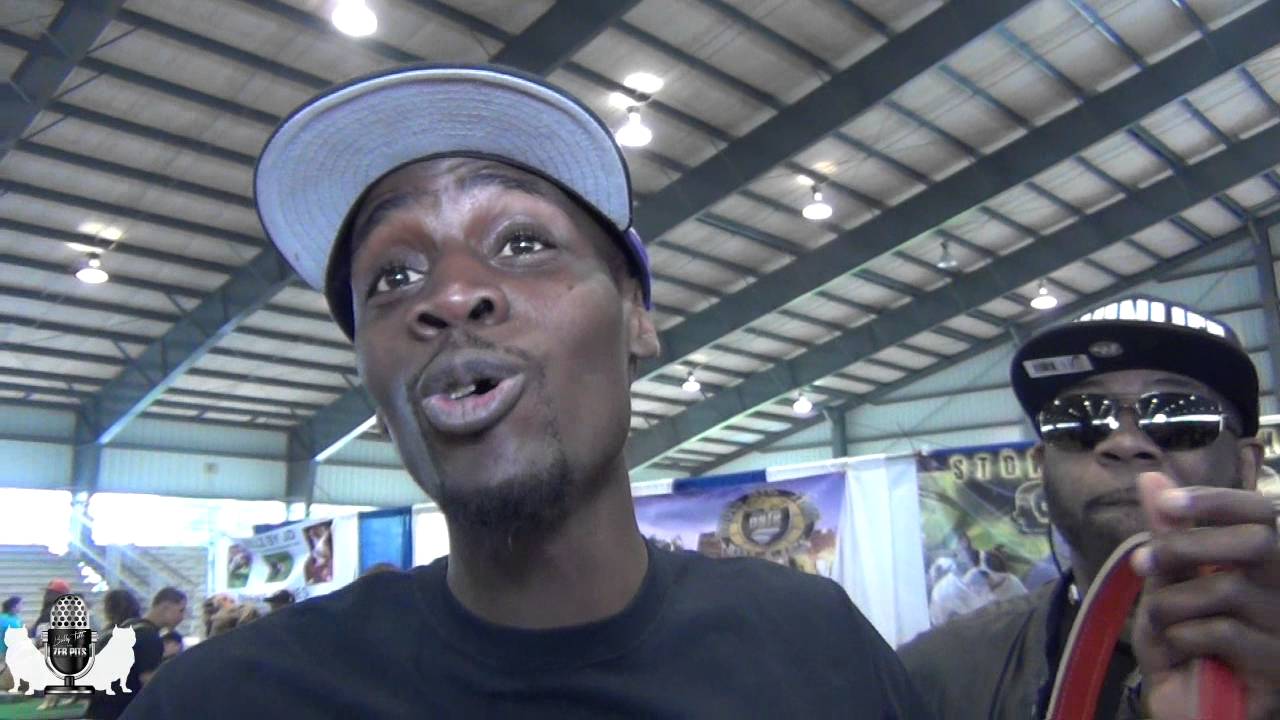 Bully Talk with Zeb Pits ABR Bully Show in Delaware 2016