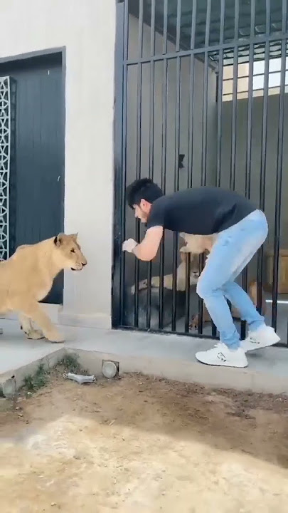 الهدف مرسود والرشاش جاهز ودلالك وفاه والده جنايز واسال الميقات من اهل الجنائز حضروا تركنا مطر كنا