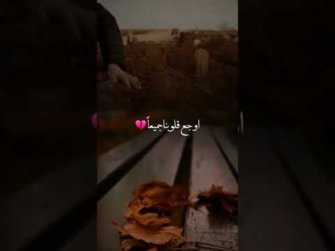 ايها الشهيد يامن قدمت دمك وروحك فدا للوطن حالات واتس اب دينية مقاطع دينية صدقة جارية 