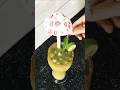 mojito kacche aam ka #food #shorts #viral
