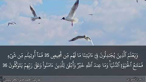 الصفحة 487 سورة الشورى بصوت القارئ المهندس أحمد فايز الحراسيس