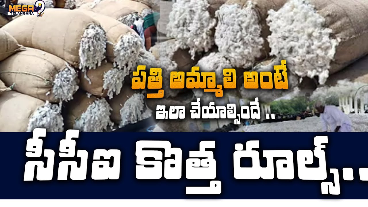 CCI New Rules For Cotton Sales | Cotton Sales Rule | Cotton Farmers | Mega9Tv