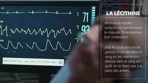 Quels sont les bienfaits de la lécithine ?