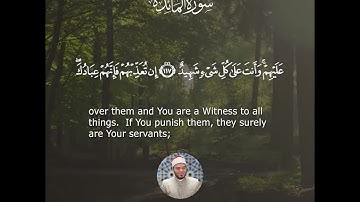 تلاوة مرتلة من سورة المائدة