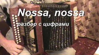 Nossa, nossa с нотами в цифрах