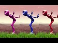 Dame Tu Cosita (Official Video) Mp3
