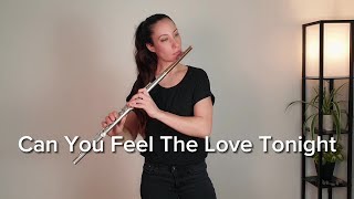 Can You Feel The Love Tonight | The Lion King | Flute Cover