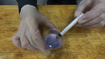 Garnica, Arnel   Laboratory Exercise No  003