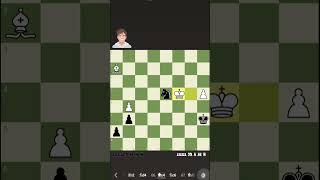 Magus calus coaches #chess