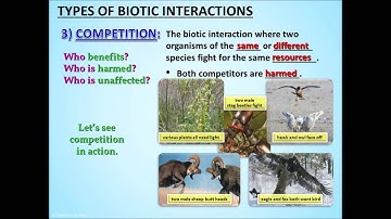 Biotic Interactions - PowerPoint - Tangstar Science