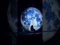 Vivid Sydney 2025  #dance #travel #vividsydney2025