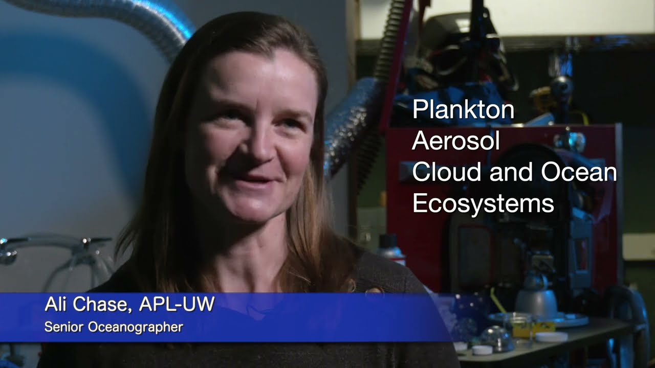 PACE: Identifying Phytoplankton Communities from Space