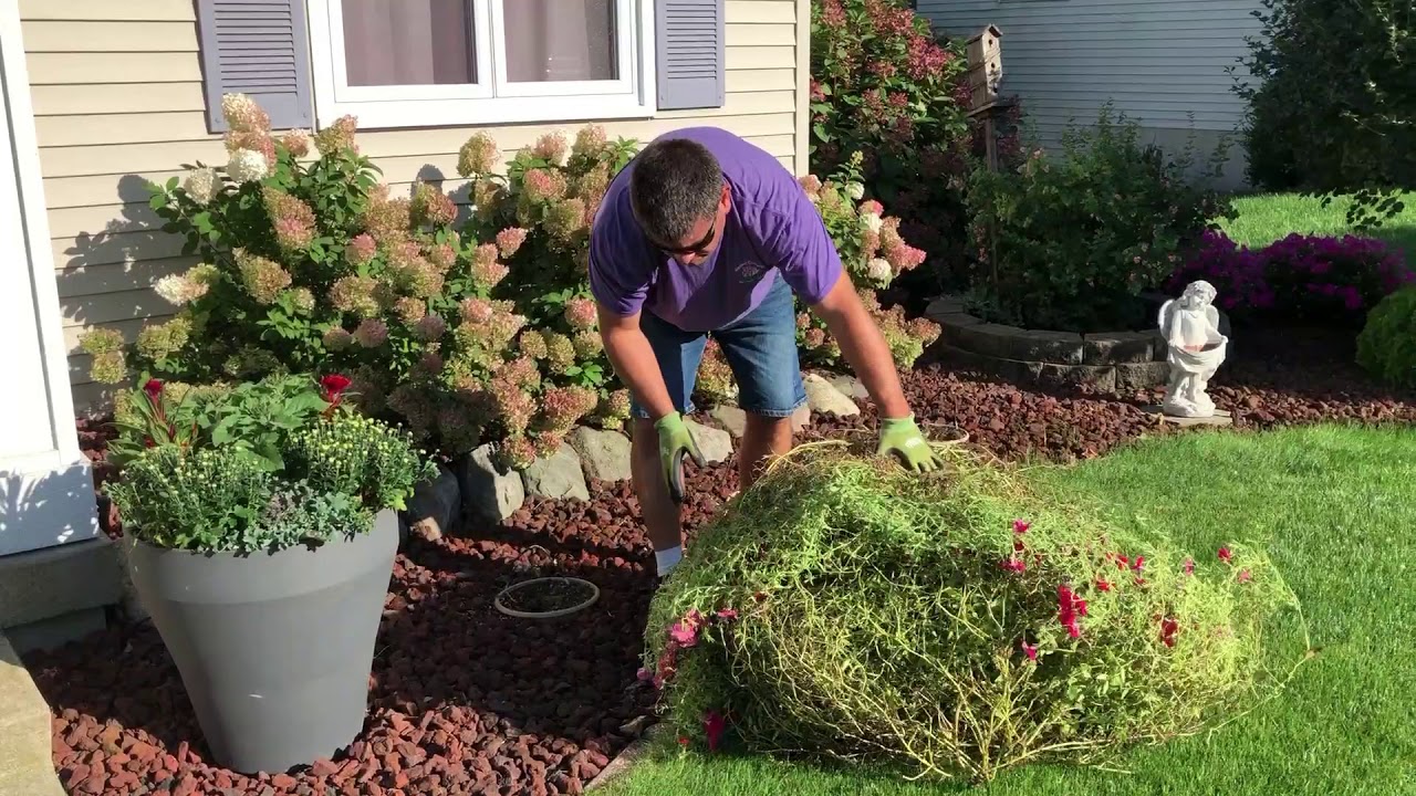 Fall transformation Part 2 YouTube