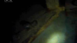 Celebrity Holborough Night Dive Wealth