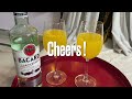 Bacardi Rum & Orange Juice Cocktail | Easy Bacardi Cocktail Recipes | Get Tipsy