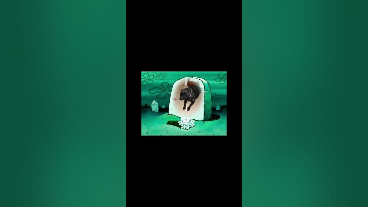please-subscribe-for-my-dead-dog-youtube
