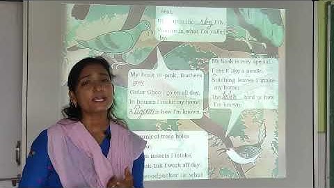 NCERT | Class III | EVS | Lesson VIII | Flying High