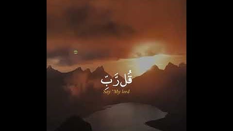 سورة المؤمنون قارئ رعد الكردي