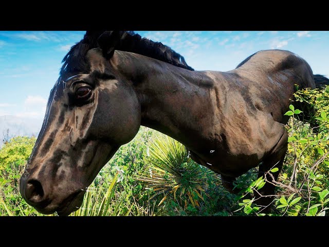 Touro Selvagem + Fugindo dos Humanos! Grande Jornada, Red Dead Redemption  2: Animais Mod