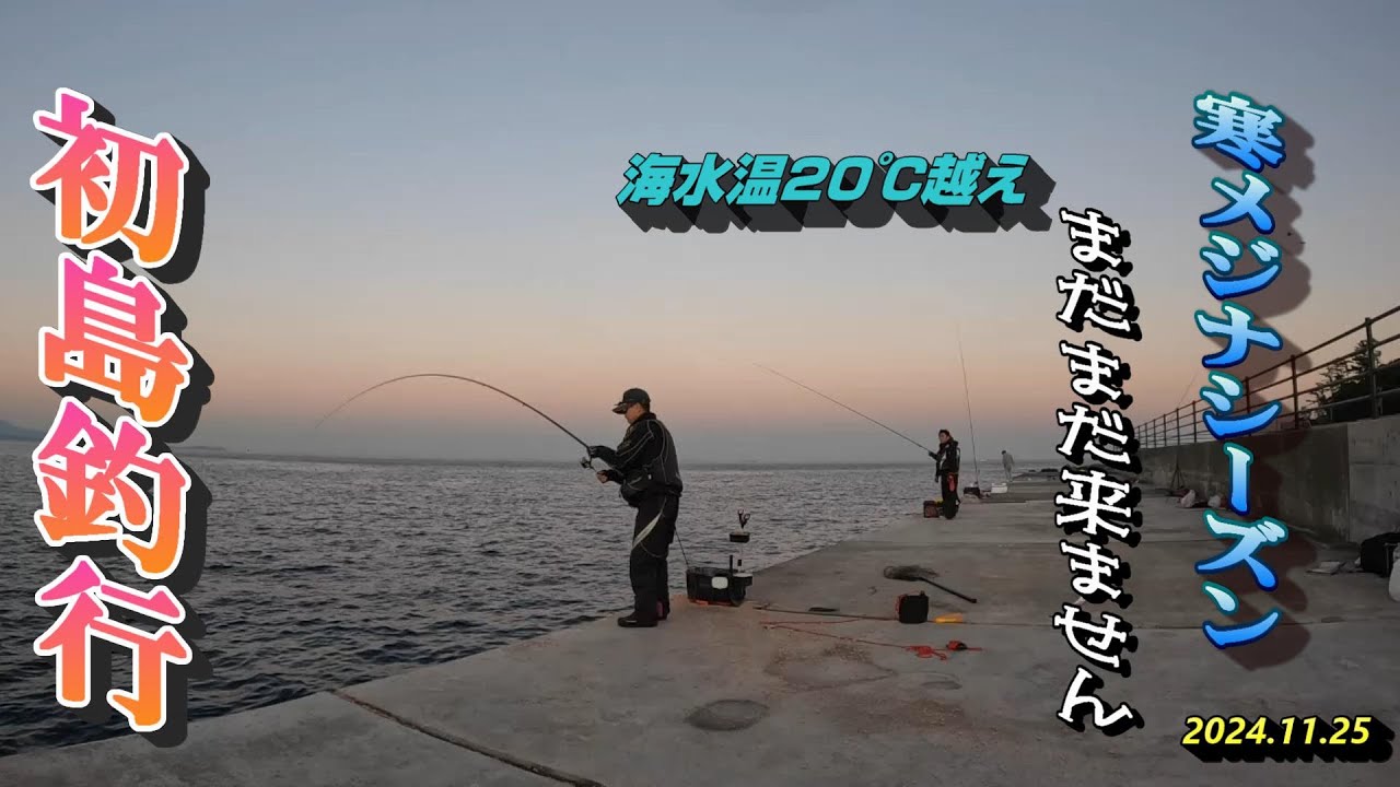 初島釣行  寒メジナシーズンまだまだ来ません2024.11.25