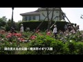 絵になる風景・横浜 の動画、YouTube動画。