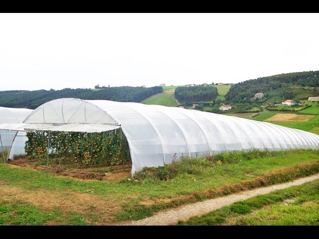 Cómo elegir un buen Plástico para un Invernadero - TvAgro por Juan