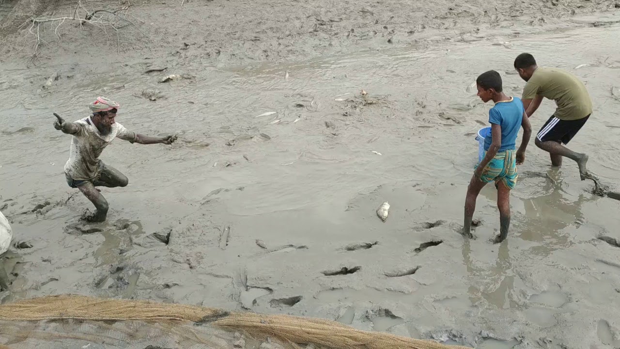 Catching fish - YouTube