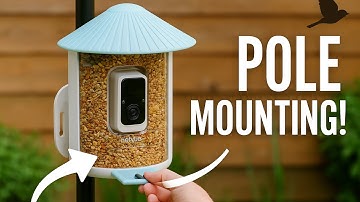 How to Mount Your Birdfy Feeder to a Pole (Secure & Easy Method)