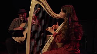 Danza De Luzma - By A.r.ortiz Harp Guitar