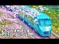 Healing Music Box BGM Autonomic Friendly Soothing Music That Makes You Want To Go On A Trip 