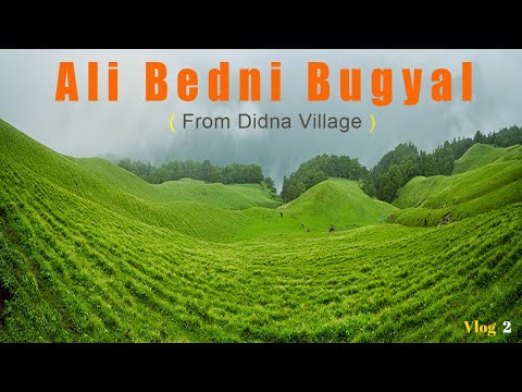 Ali Bedni Bugyal (Meadows) Trek Part 2 | Didna Village Trekking to Ali Bugyal | Uttarakhand, India.