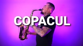 COPACUL - Aurelian Andreescu (saxophone cover by Mihai Andrei)